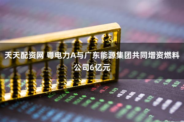 天天配资网 粤电力A与广东能源集团共同增资燃料公司6亿元