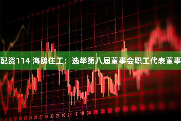 配资114 海鸥住工：选举第八届董事会职工代表董事
