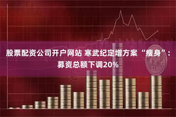 股票配资公司开户网站 寒武纪定增方案 “瘦身”：募资总额下调20%